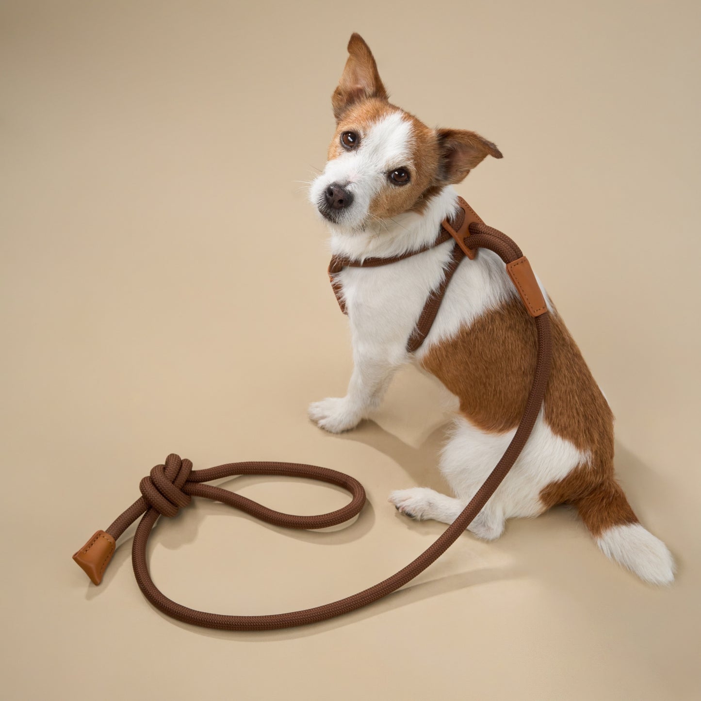 Harnais ergonomique en cuir avec laisse incluse