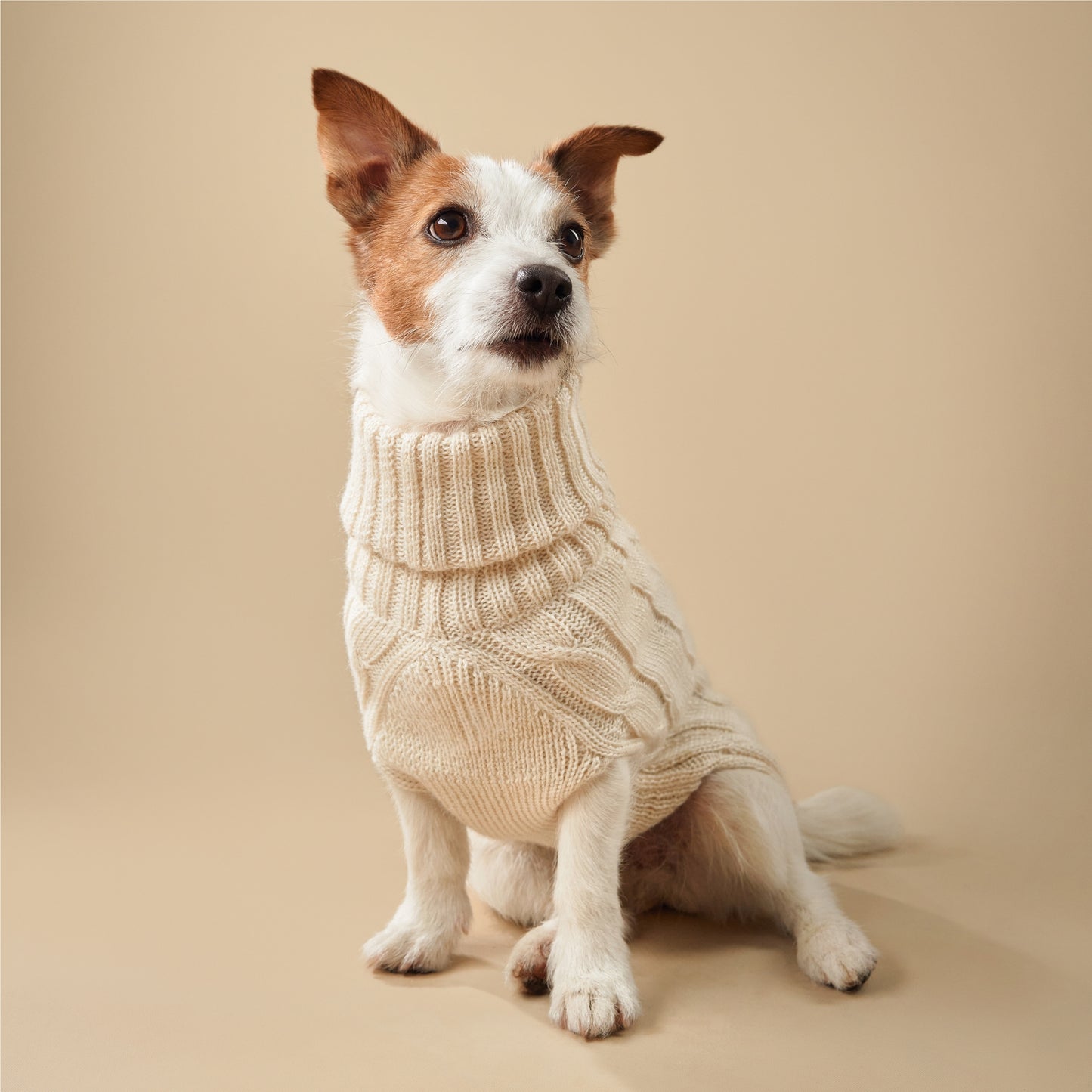 Pull luxueux pour chien en soie et alpaga