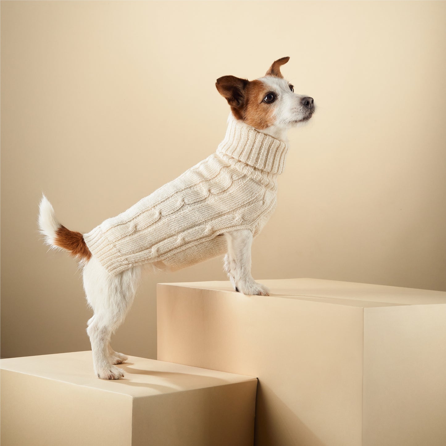 Pull chaud et doux pour chien en laine d’alpaga