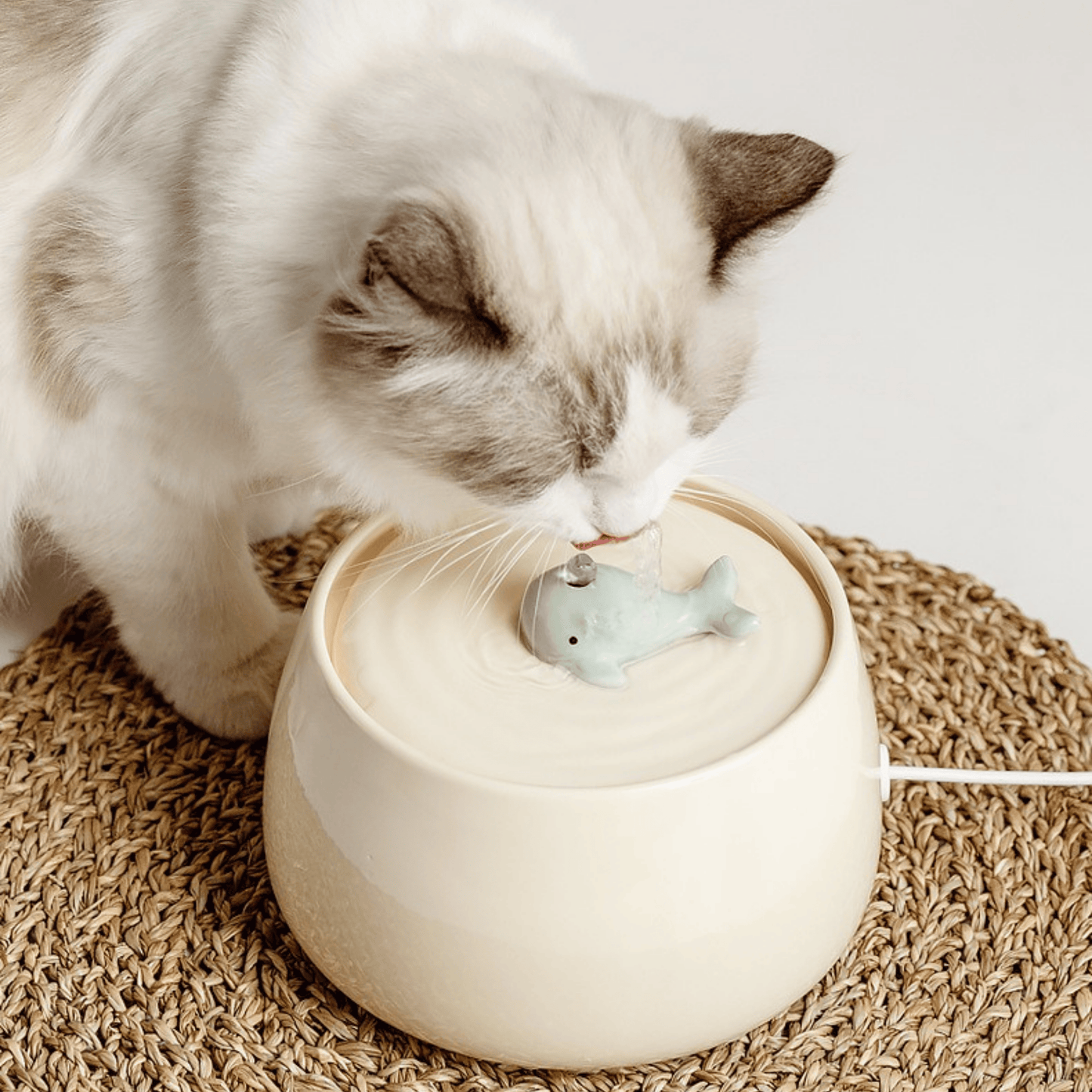 Fontaine à Eau Design pour Chat et Chien - Idéale pour leur Santé