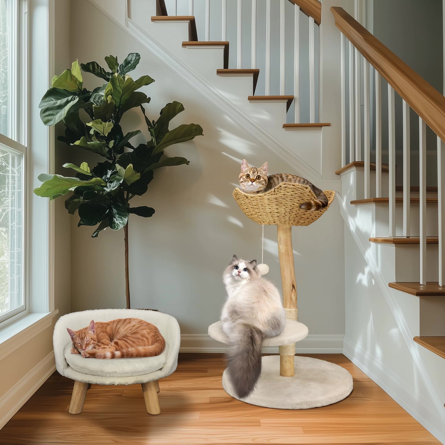 Mobilier pour chat au style bohème chic