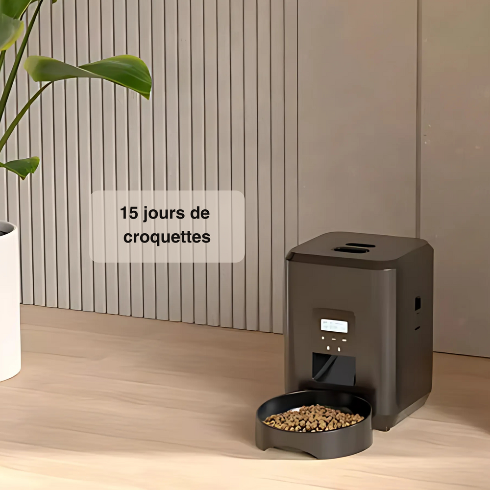 Distributeur programmable pour croquettes de chat
