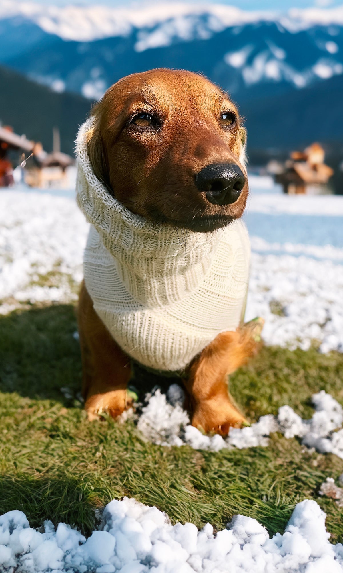 Leonie Delacroix Concept Store