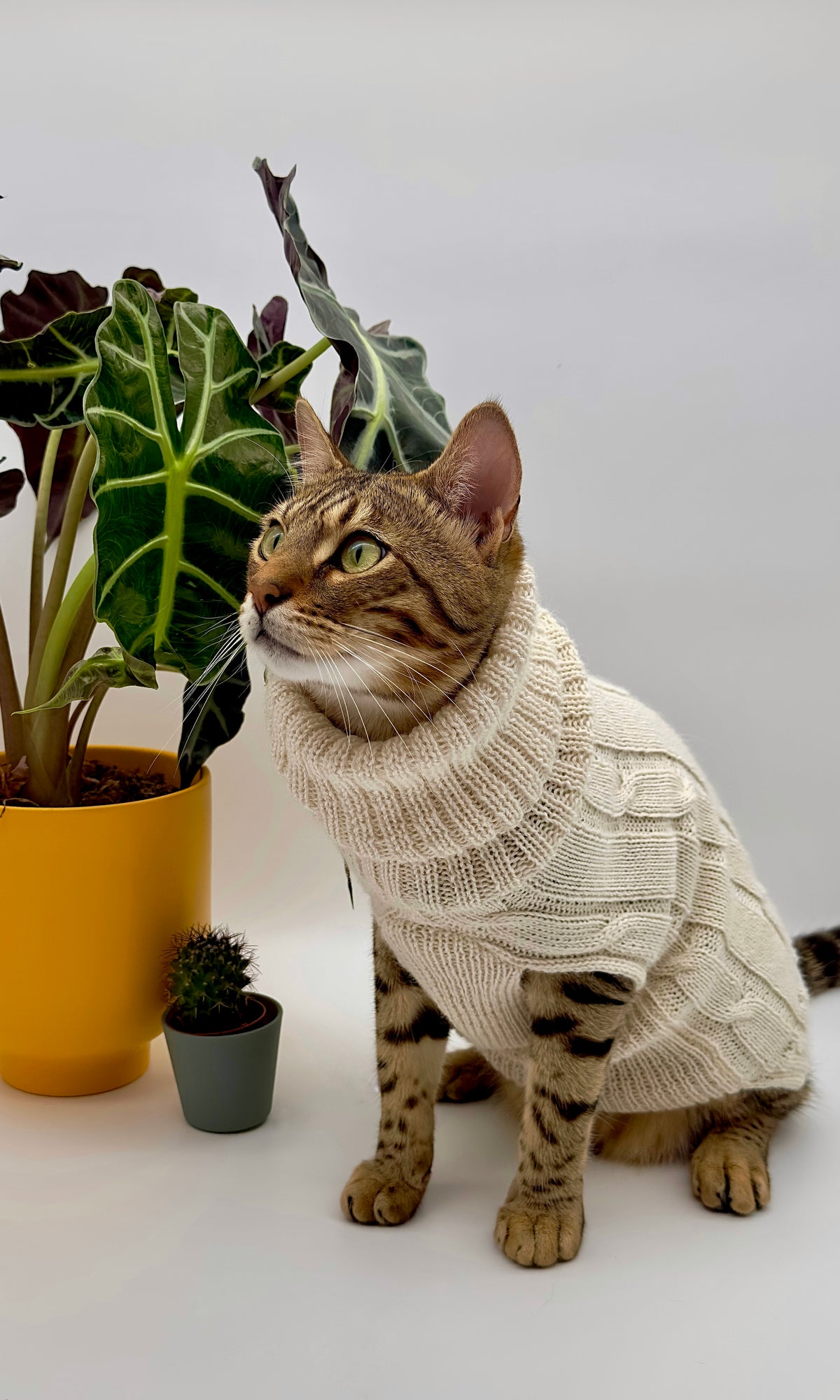 Leonie Delacroix Concept Store France