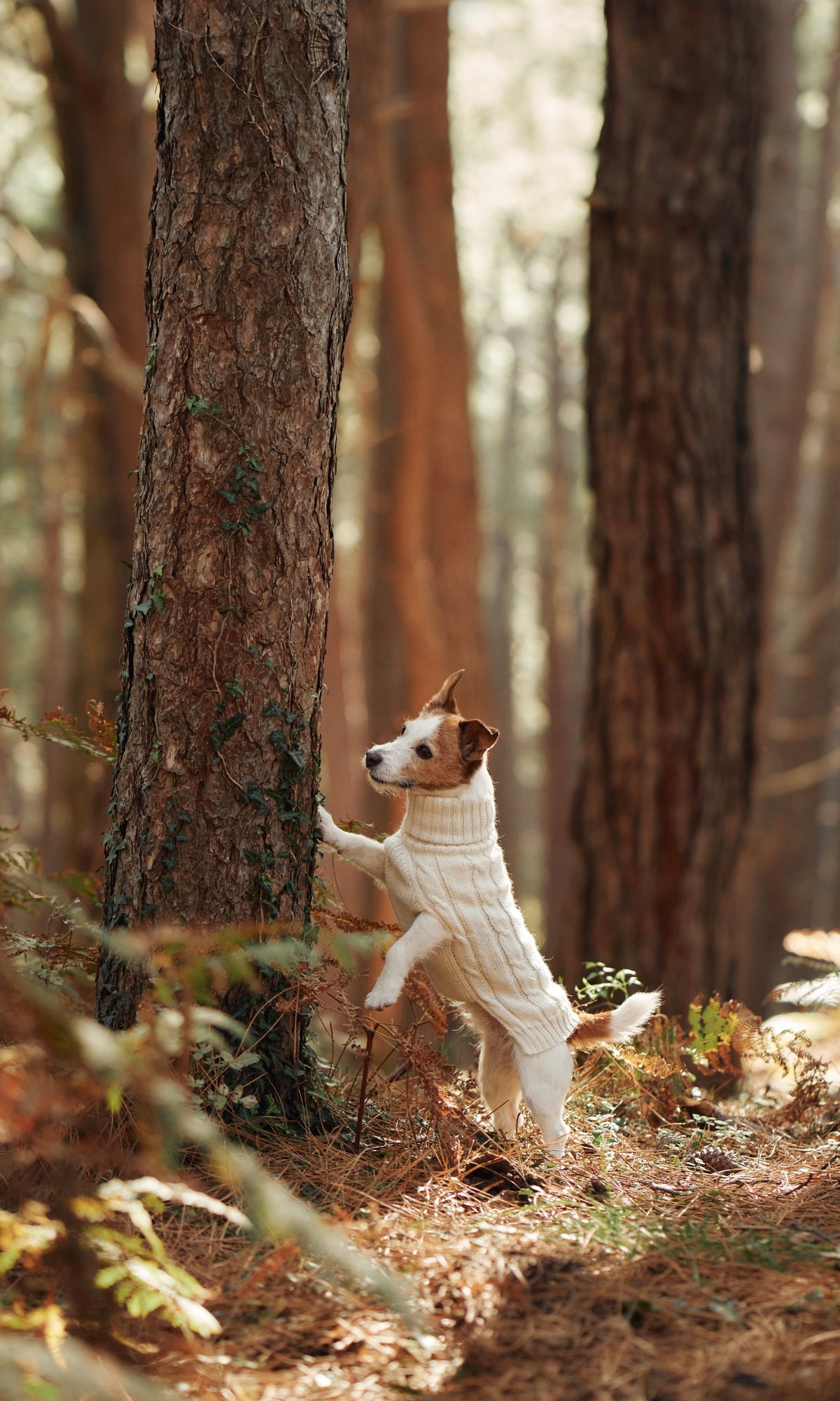 Léonie Delacroix France