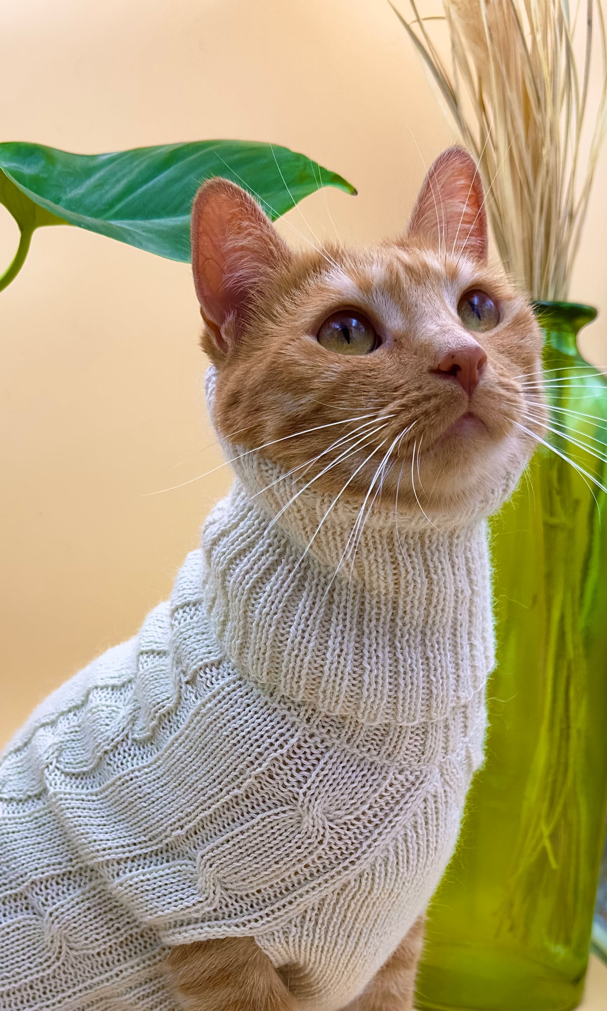 Léonie Delacroix com Concept Store France