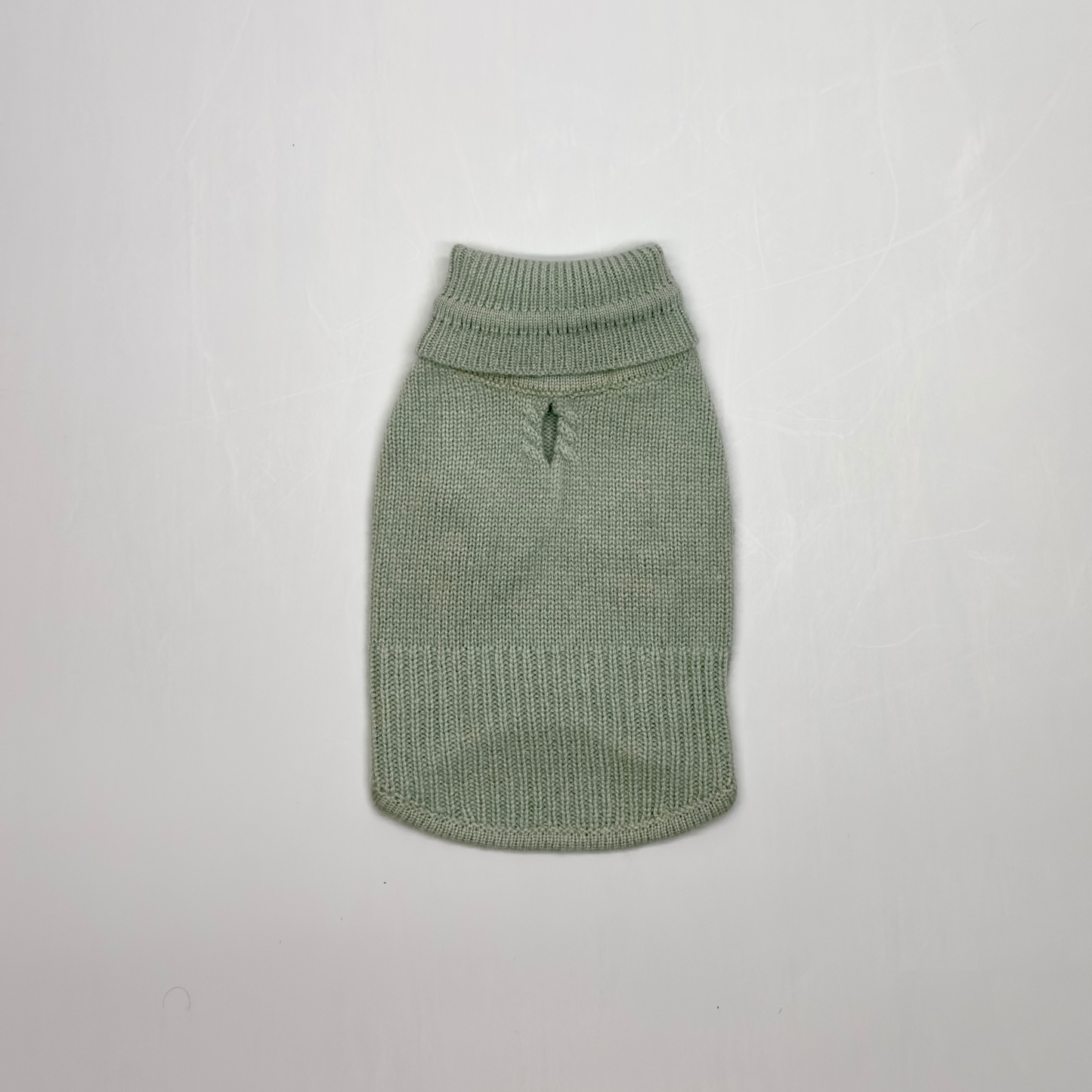 Confort et chaleur : pull en cachemire pour chien