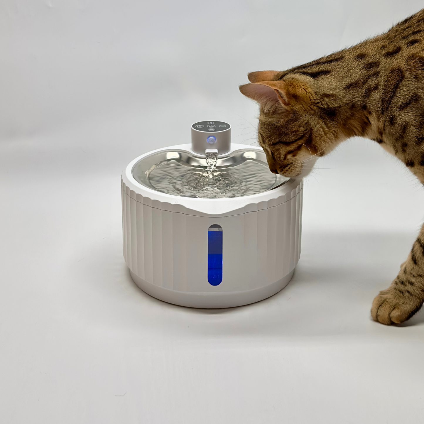 Fontaine à eau chat avec filtre à charbon actif