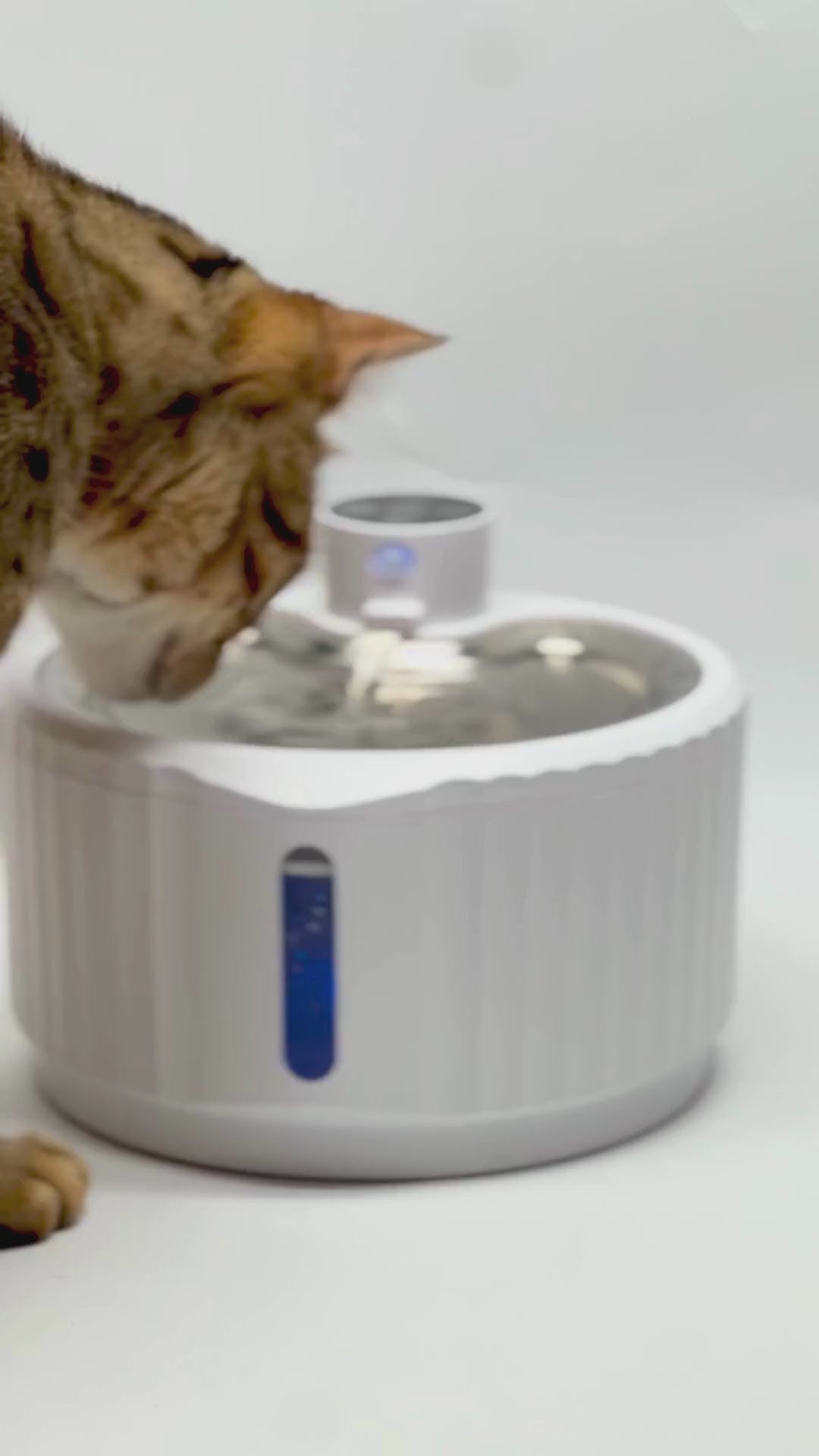 Fonctionnement des 3 modes intelligents de la Fontaine Smart pour chat